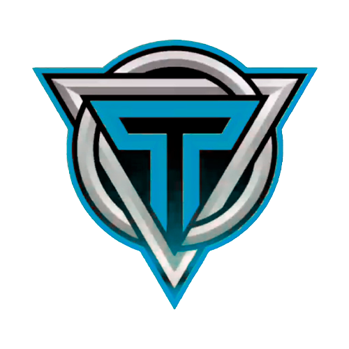 Топ Тим